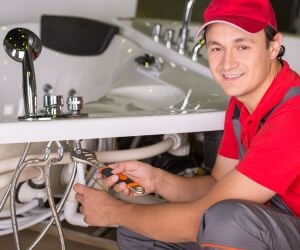 About The Faucet Pros Linkwood, MD